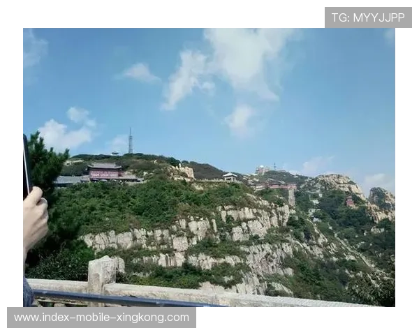 山东泰山通过内外结合完成漂亮推进