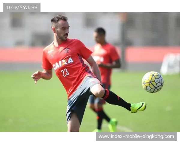 弗拉门戈整体执行力在线